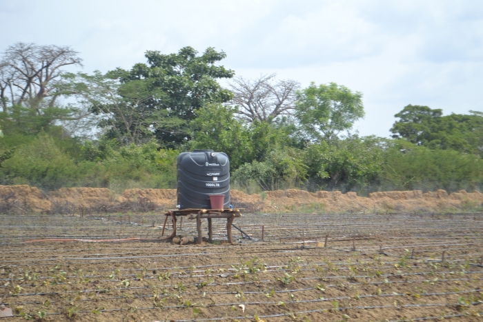 The ASSAR Ghana team recently organised a two-day workshop to strengthen irrigation management practices for dry-season farming in the Nandom and Lawra districts. (Photo by Kwame Asante.)