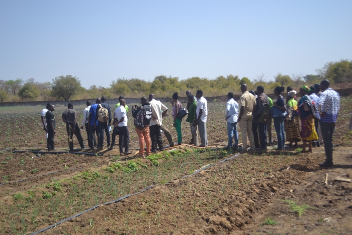 The ASSAR Ghana team recently organised a two-day workshop to strengthen irrigation management practices for dry-season farming in the Nandom and Lawra districts. (Photo by Kwame Asante.)